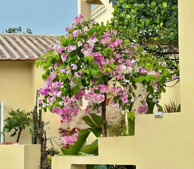 北海亲子游5天4晚价格跟团五日游报价不朽