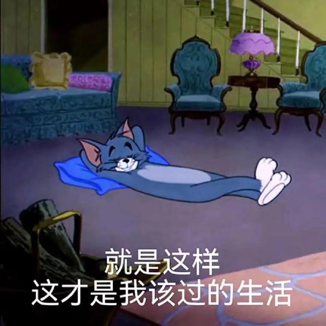 决家里不舒服的小事日子真的会变爽！mg不朽情缘平台网站花几十块钱解(图12)